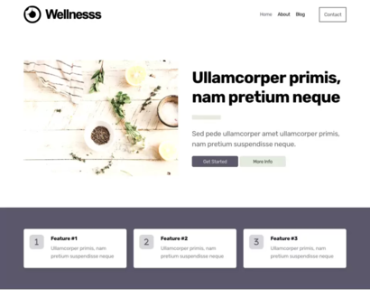 Náhled šablony Wellnesss 4
